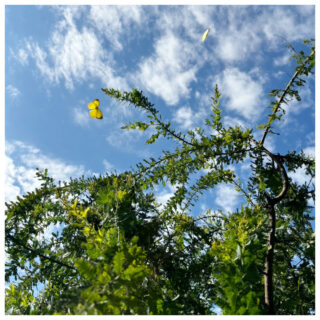 静岡のカフェスタイル・リノベーション｜杉江建設の自然素材で叶えるリフォーム