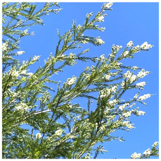 自然素材の壁で、心も体もリフレッシュ