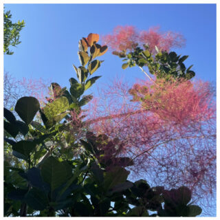 庭から始まる豊かな暮らし