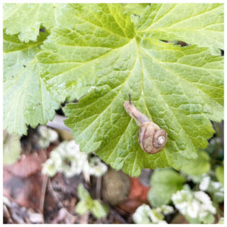 懐かしくも新しい、タイルが紡ぐ暮らしの物語