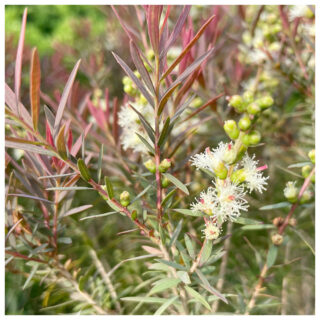 MORTEX　デザインコンクリートの世界