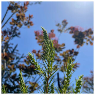 省エネ給湯機交換