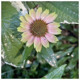 水まわりが変える、家族の笑顔