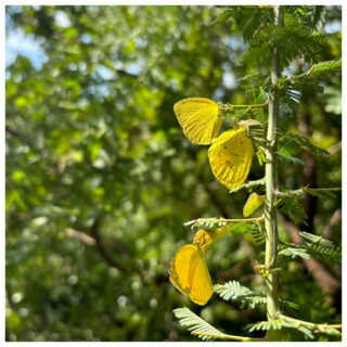 重ねて守る、外壁、屋根のカバー工法