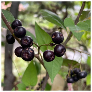 温度差のない暮らしを断熱リフォームで実現