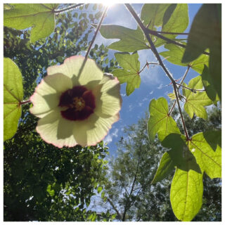 床から始まる、心地よい暮らし